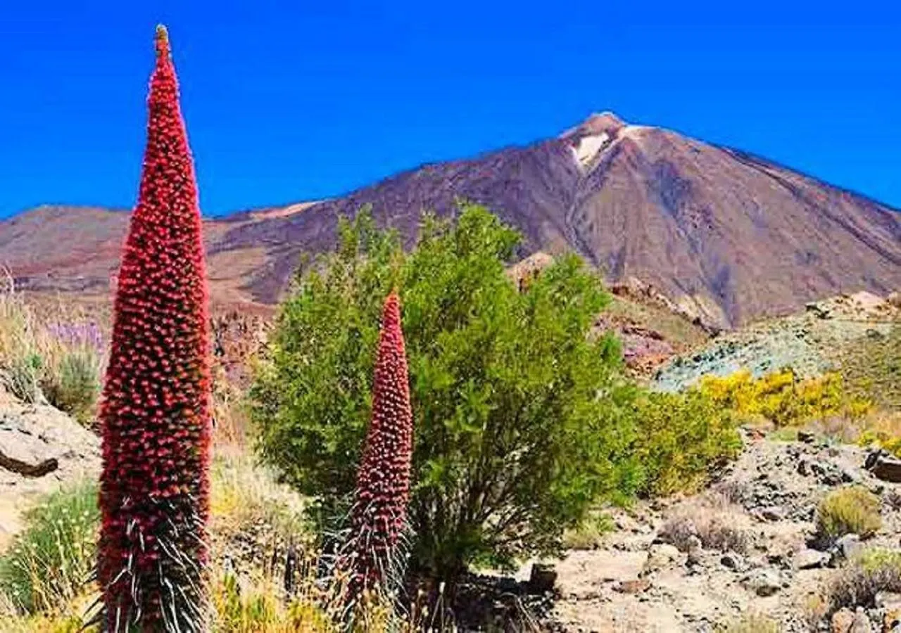 Apartmán Olle Golf Tenerife Sur San Miguel de Abona